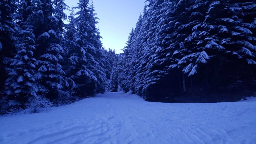 road to the heliotrope ridge trail head