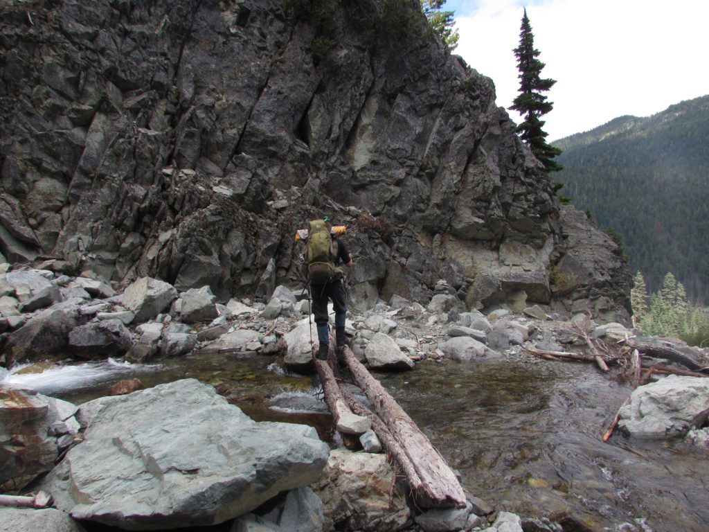 brandon on the log stream crossing
