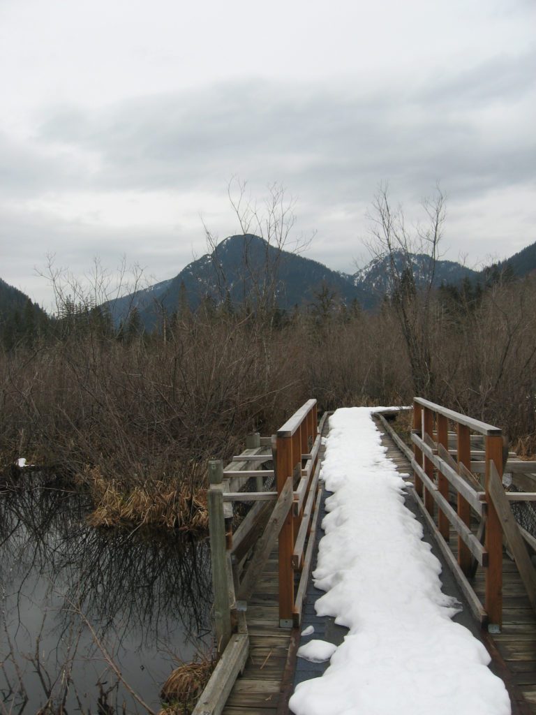 bridge through the marsh area