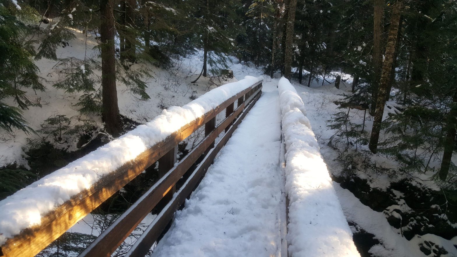 bridge over denny creek snowshoe route