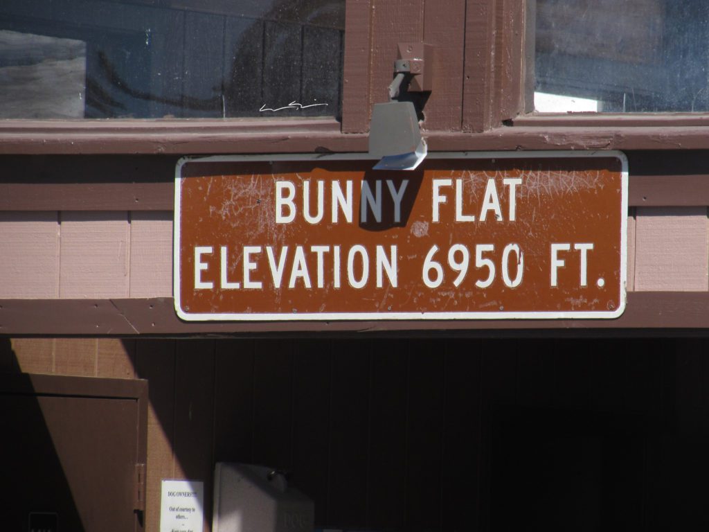 bunny flat trail head mount shasta california