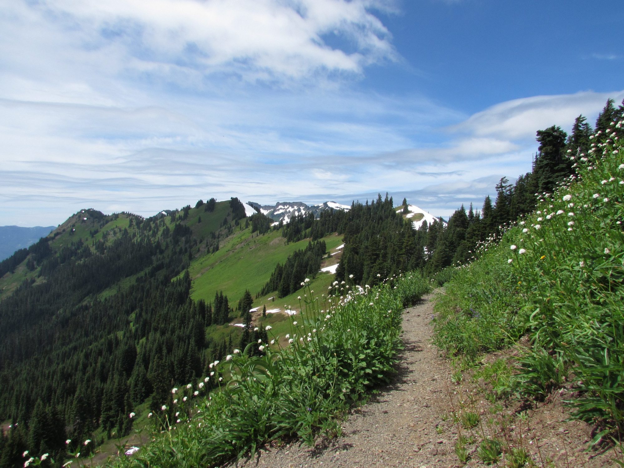 upper portion of excelsior peak trail