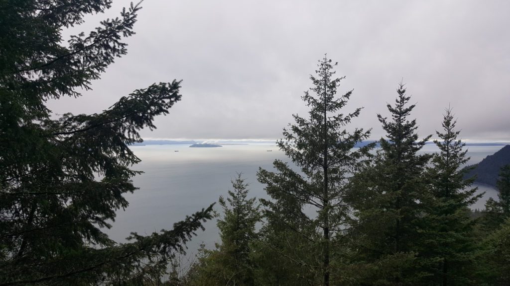 first view point from oyster dome trail