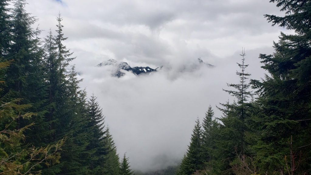 first view from the trail