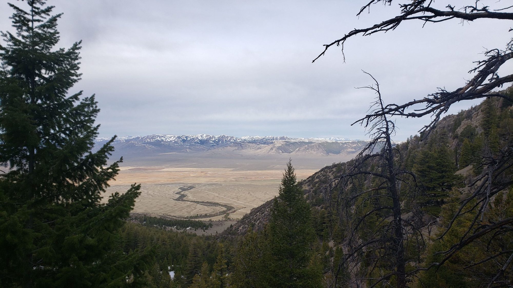 first view from borah peak trail