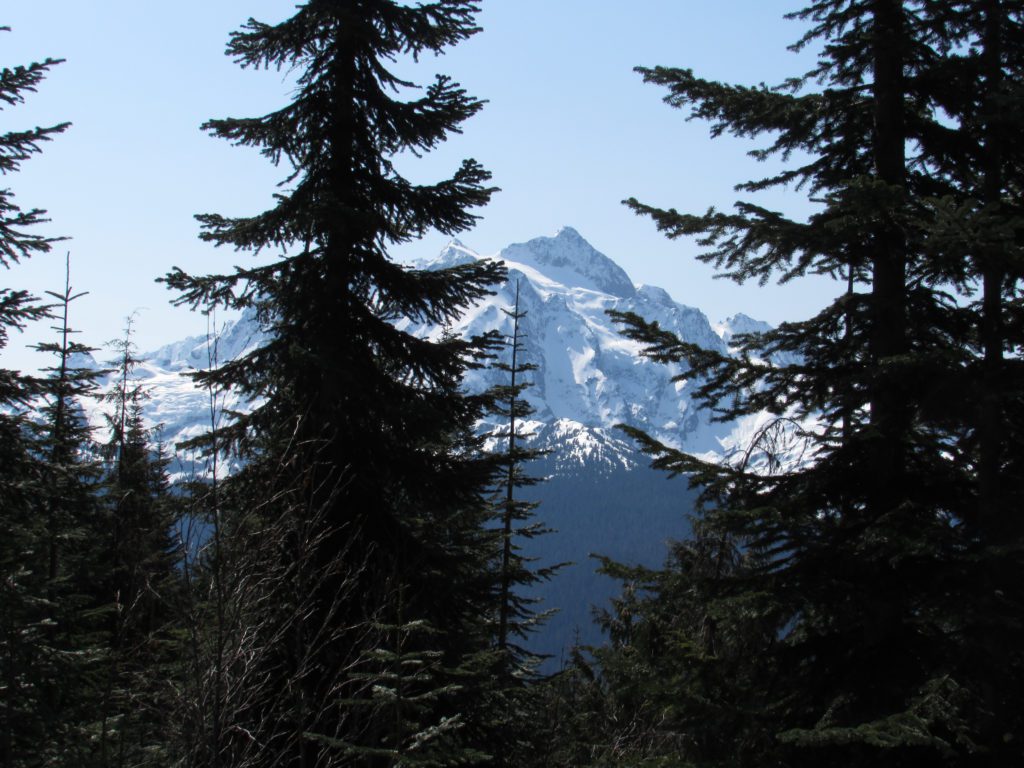 first view of mount shuksam from the trail