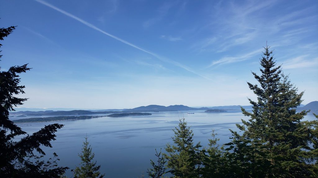 first view of the day along trail