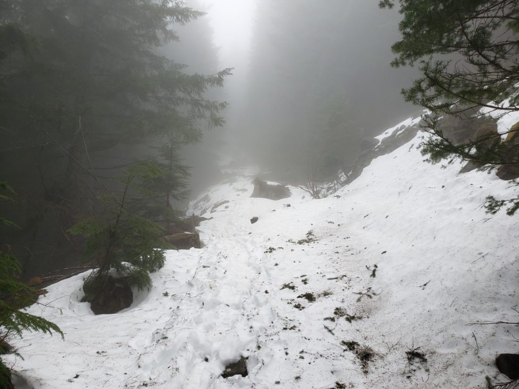 foggy section of trail below the summit