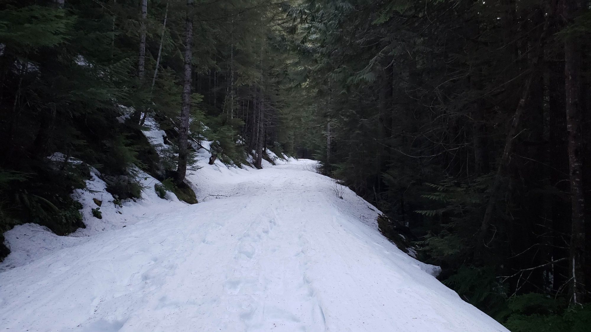 forest road to hidden lake peak trail head
