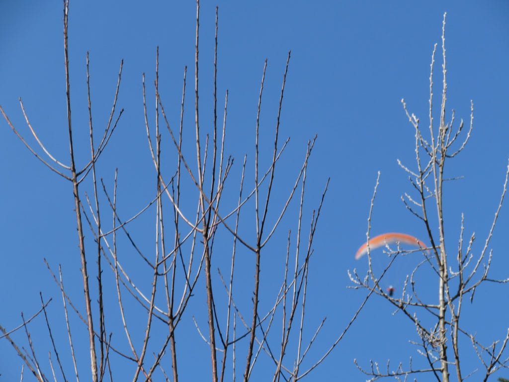 hang gliders coming down above the trail