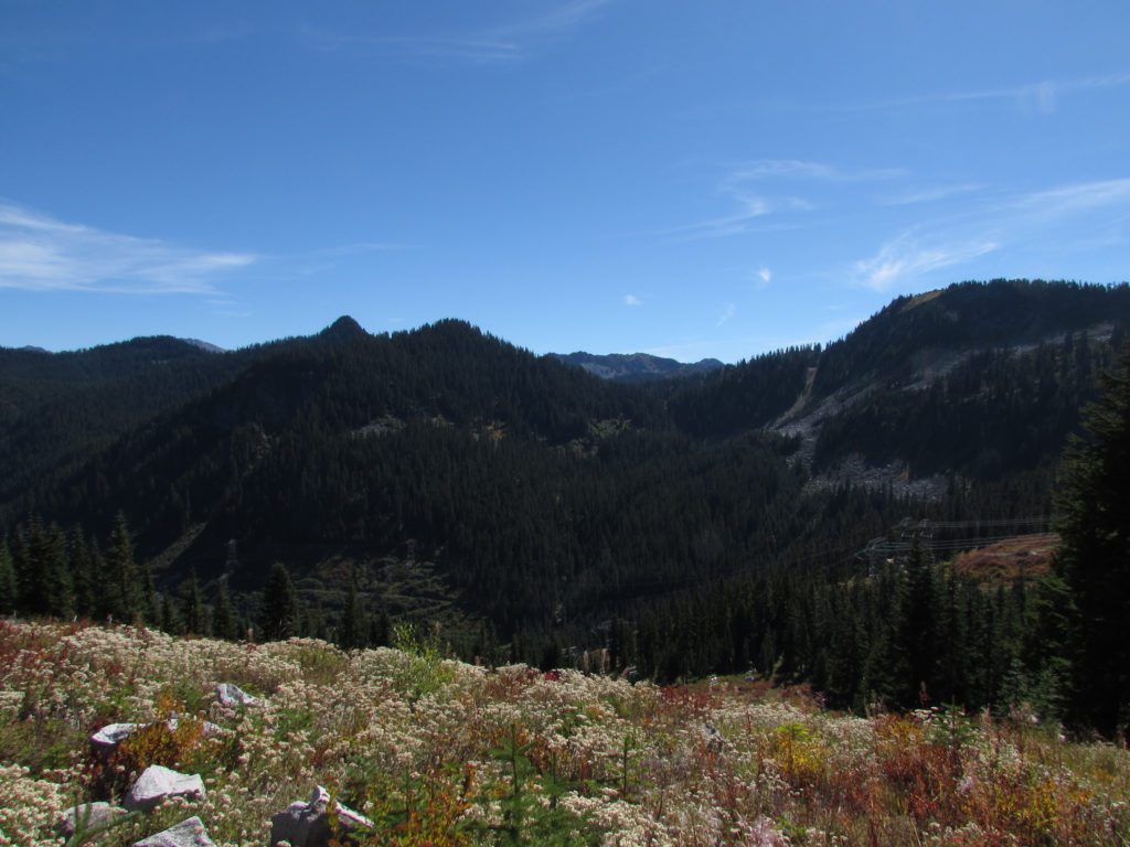 looking east from the top of stevens pass along pcific crest trail