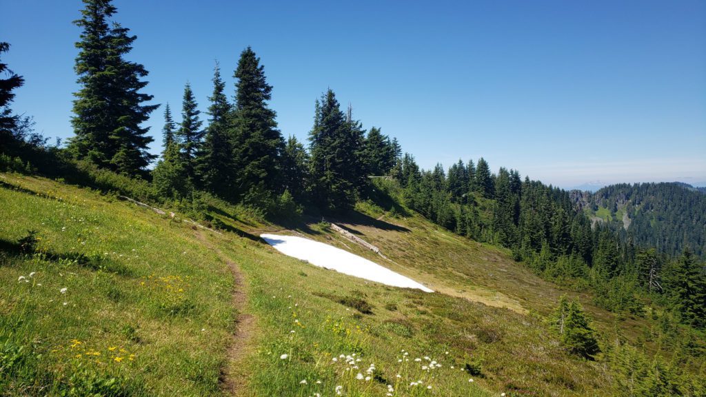 lower ridge trail on white chuck mountain