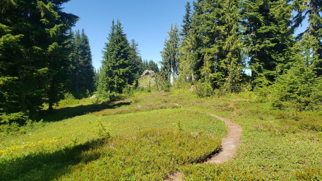 lower ridge trail on white chuck mountain