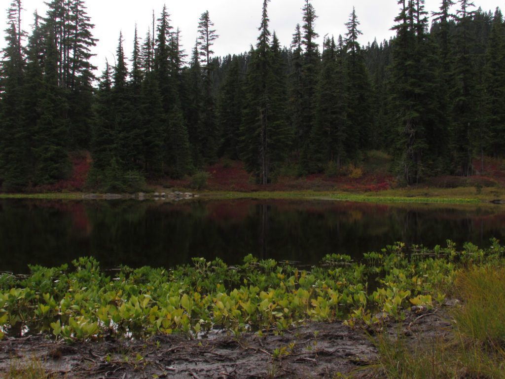mig lake near sunset