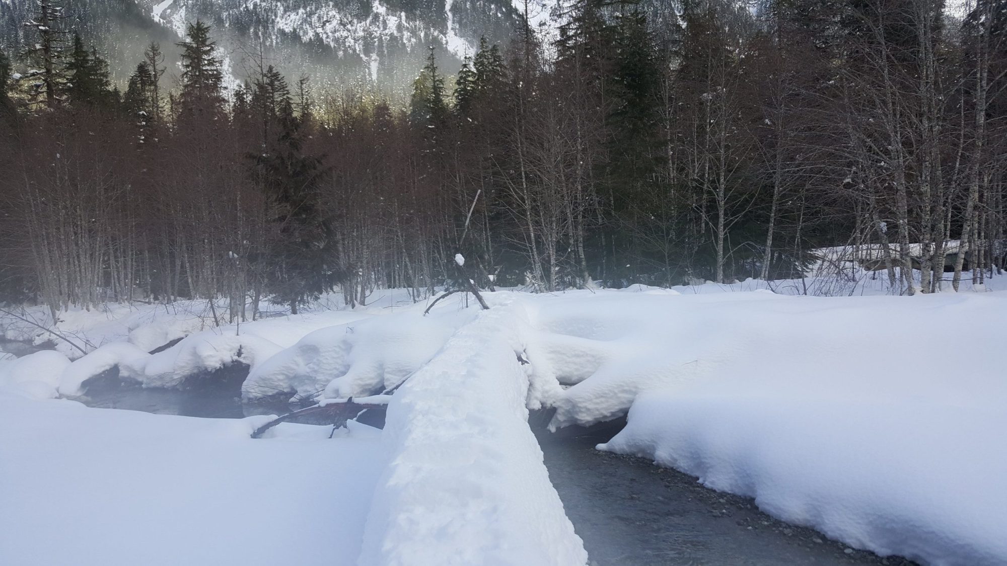 log crossing in winter
