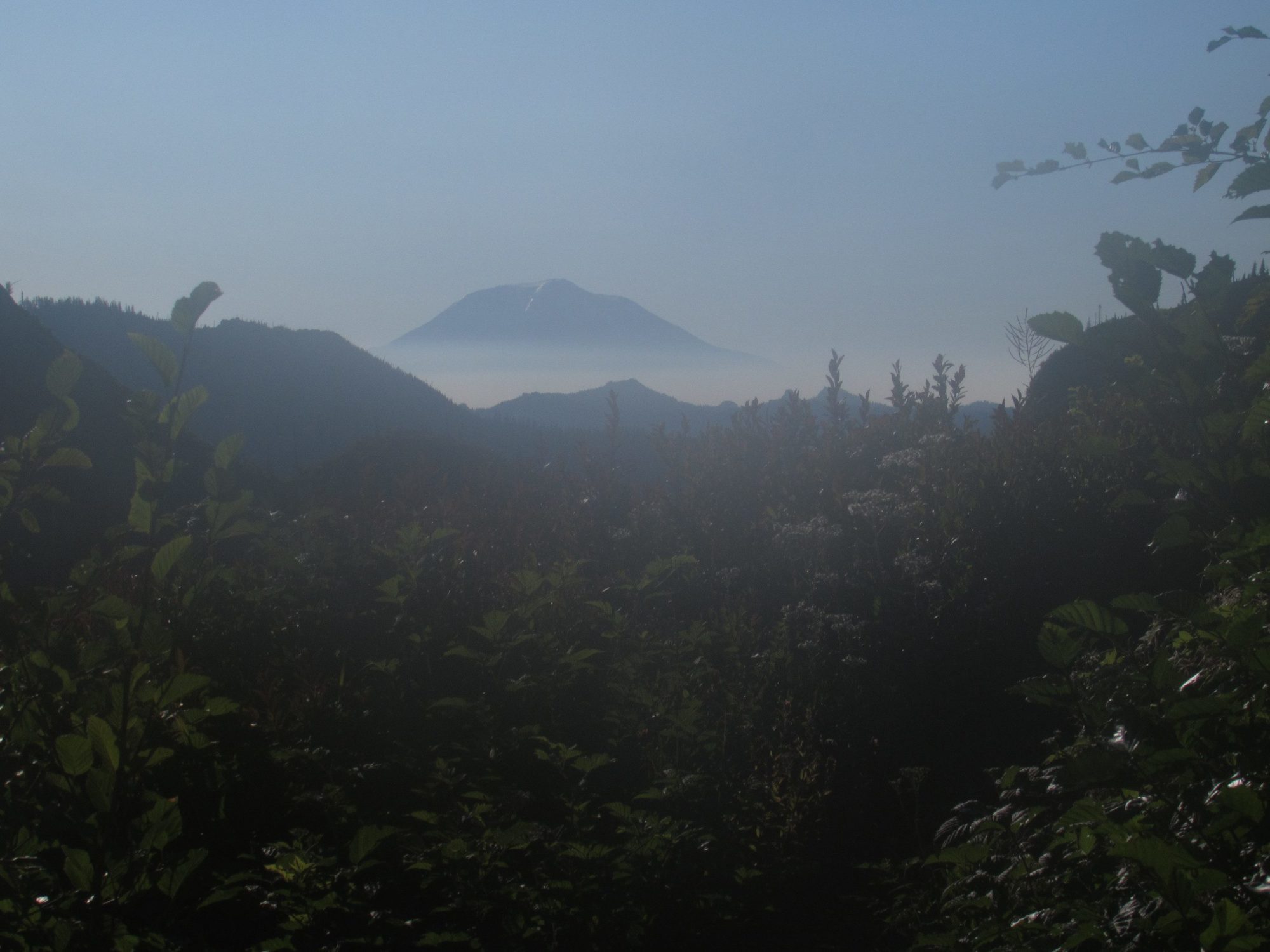 mount adams shrouded in smoke from whittier ridge