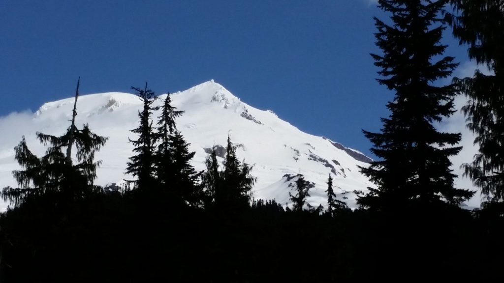 mount baker from the park butte trail
