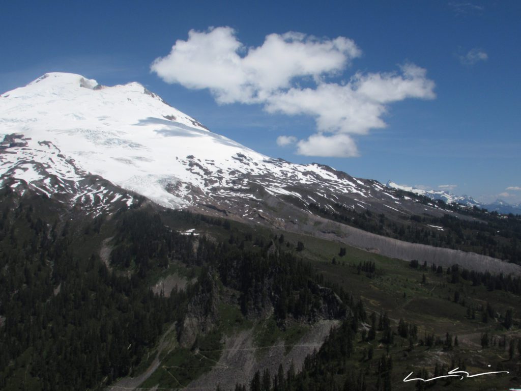 mount baker viewed from the lookout tower