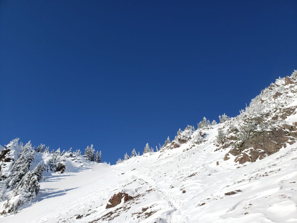 summer trail to the summit
