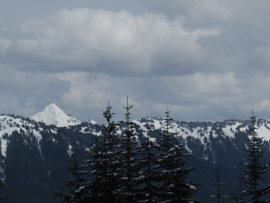 mount larabee from the forest road hike
