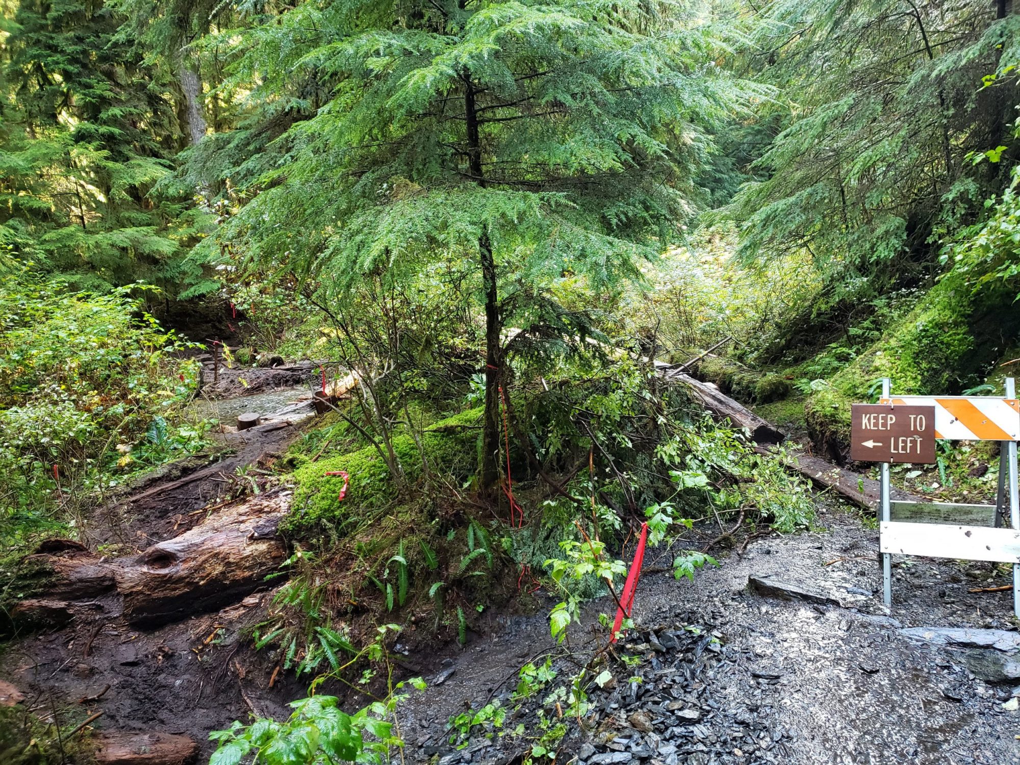 recent trail washout reroute