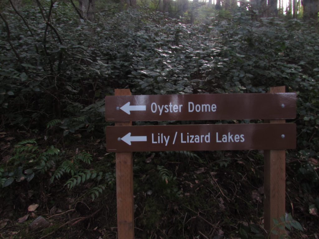 new trail signs installed by volunteers