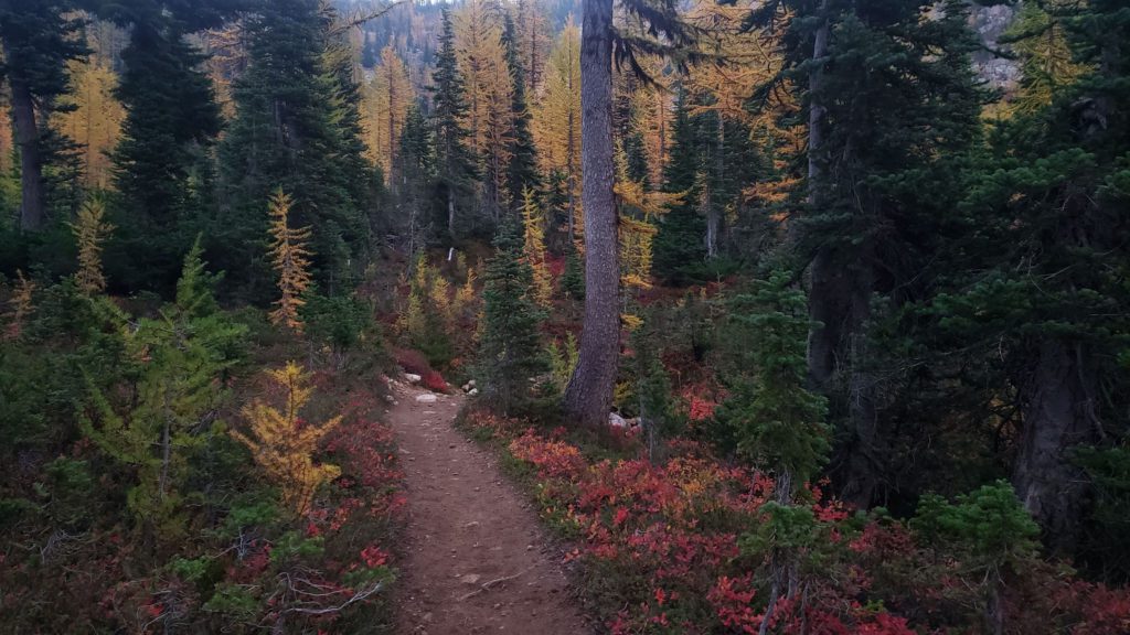 Pacific Crest Trail Fall Colors