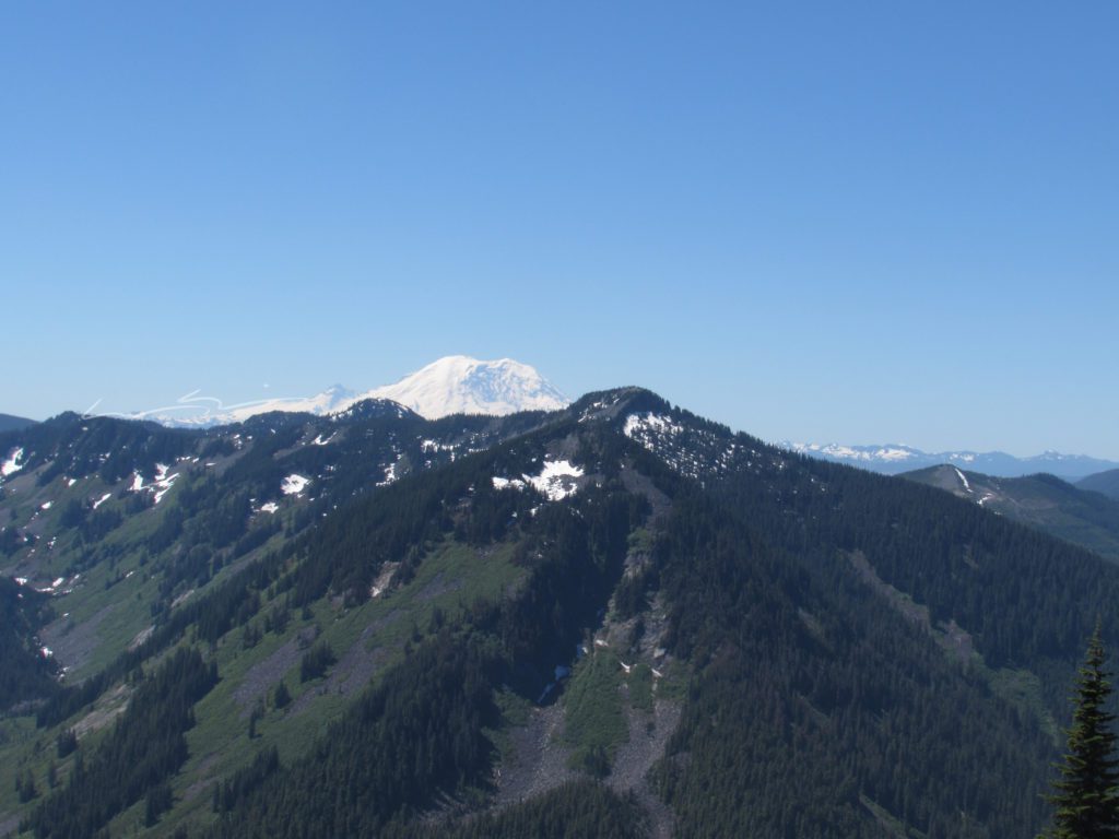 mount rainier from the trail