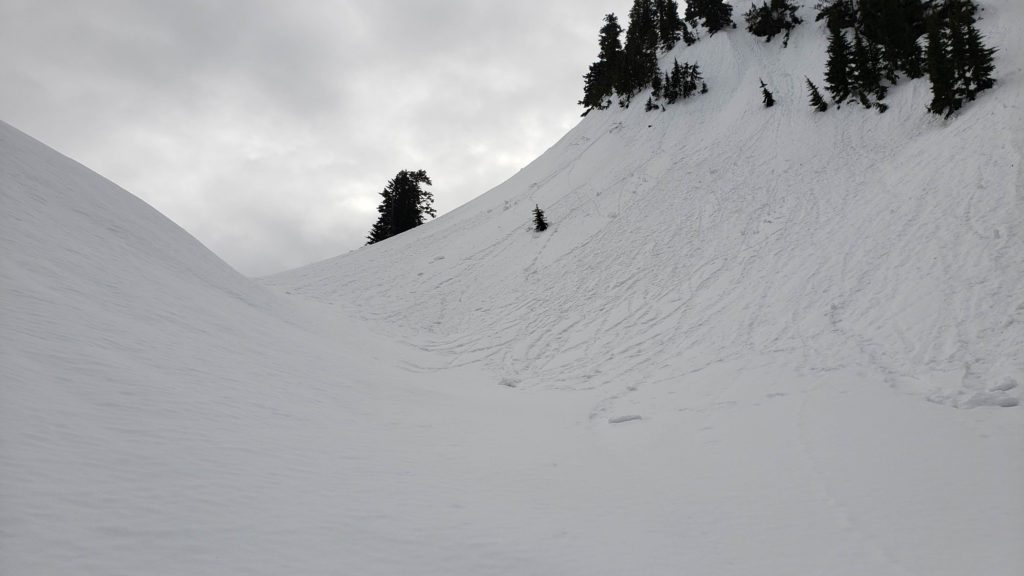 gulley filled with snow slides and avalanche debris