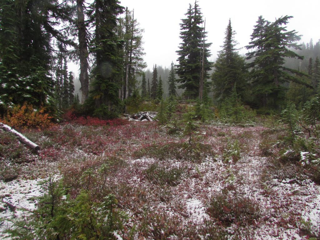 snow covered meadow near escondido ridge camp site