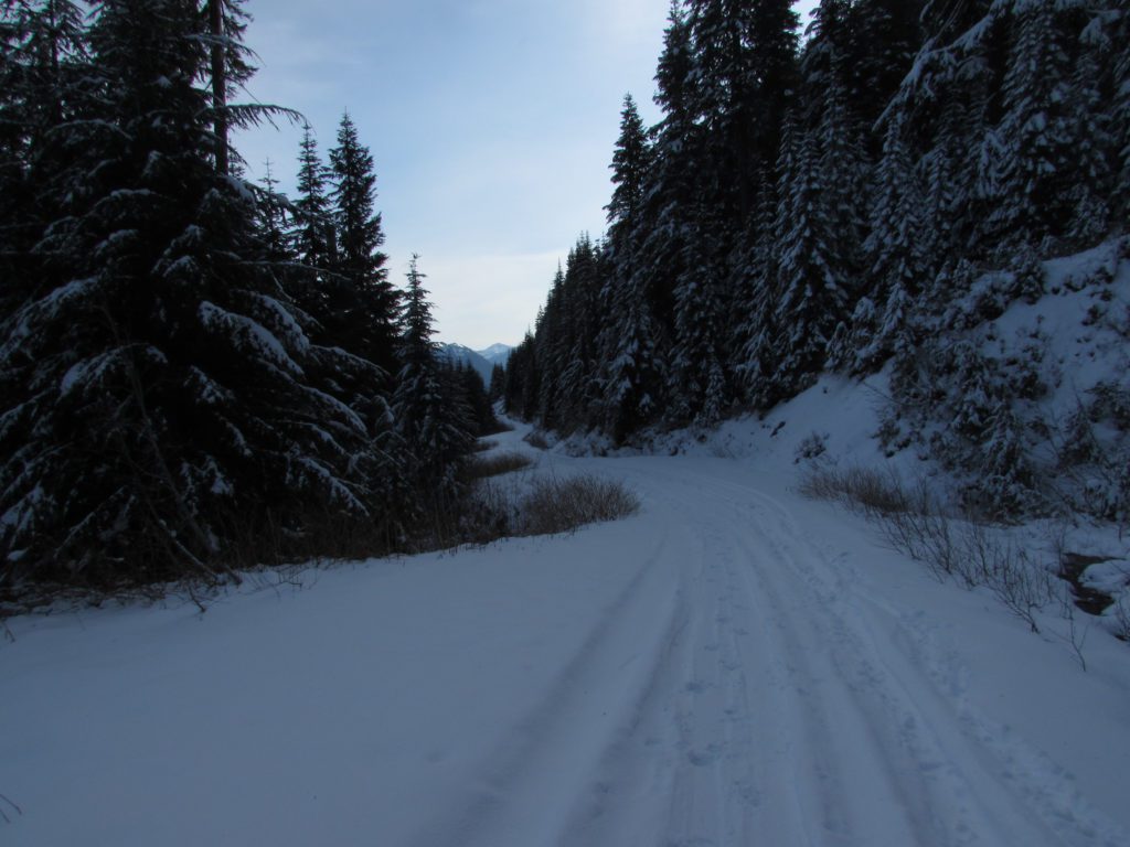 snow covered forest road to the trailhead