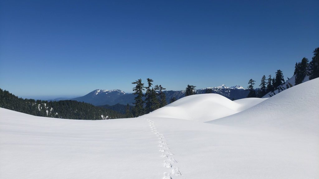 my Solitary footsteps in the snowfield below mount stickney