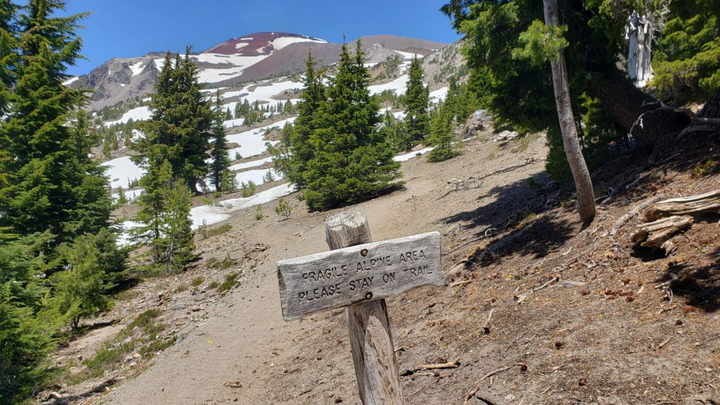 south sister climbers trail view of peak