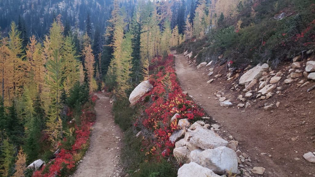 Switchback along pacific crest trail