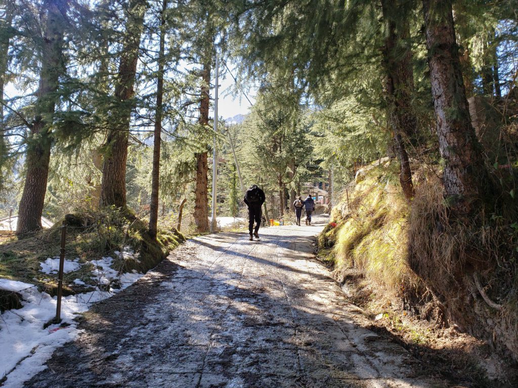 starting the hike from a city road