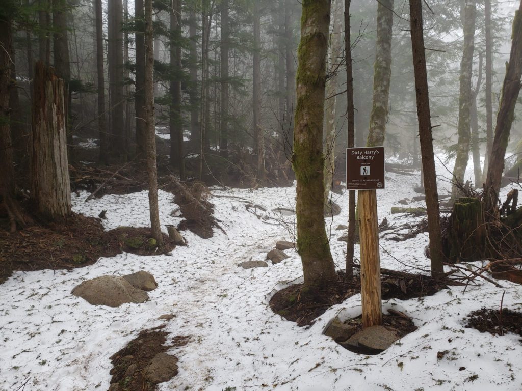 trail junction leading to the summit of dirty harry's peak