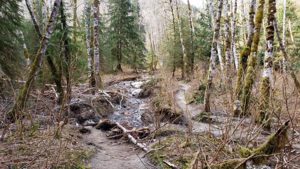 lake serene trail renovations