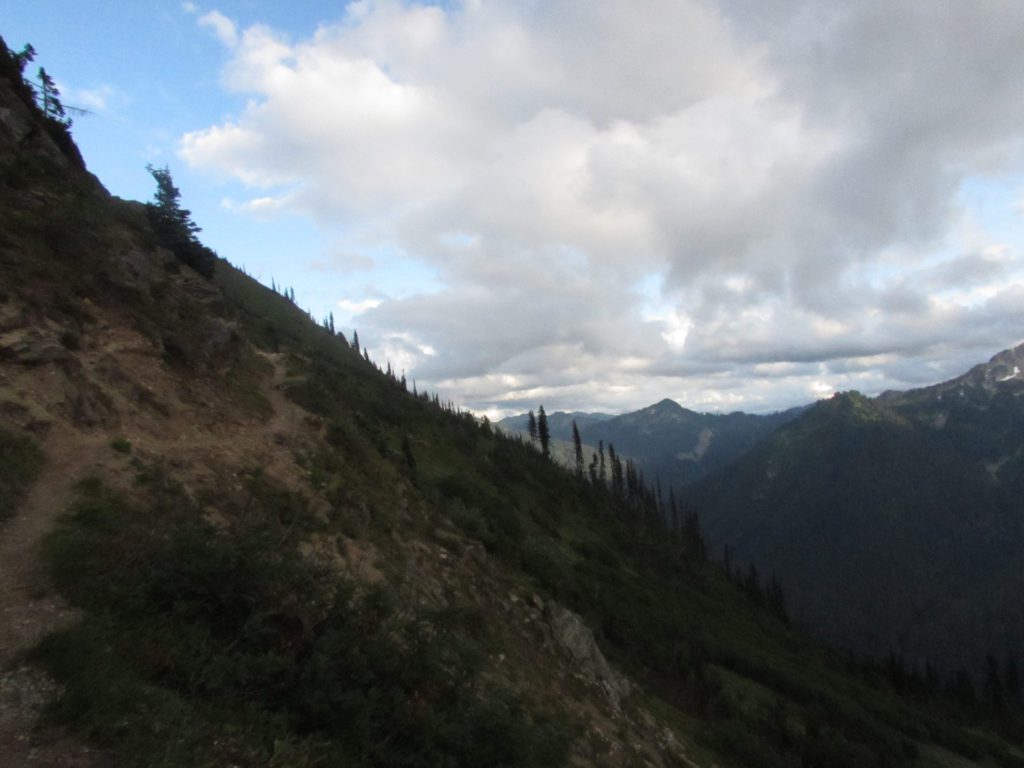 pacific crest trail leading to white pass