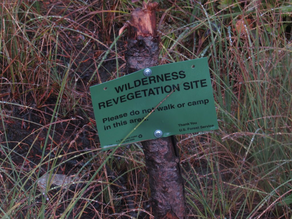 trail work in progress along pacific crest trail