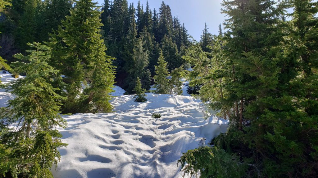 twin lakes trail snow cover monte cristo