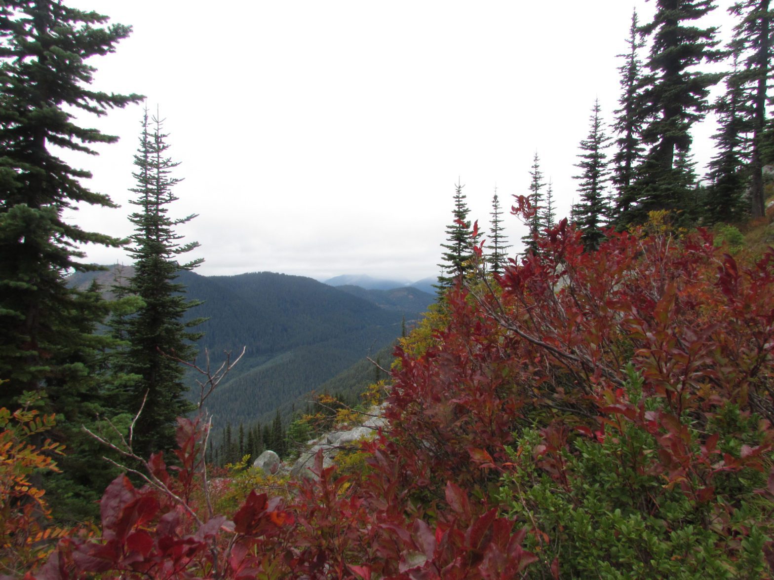 vuew north from deception lake pacific crest trail