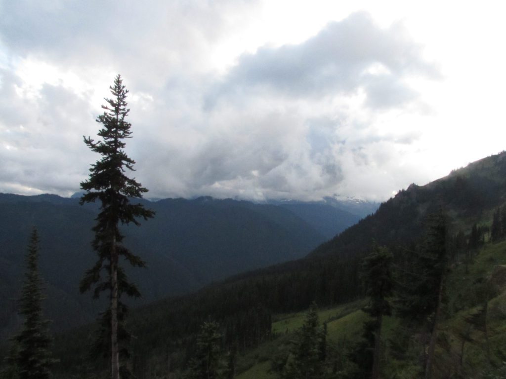 view northeast from white pass trail