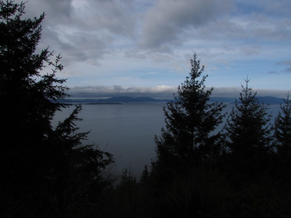 bellingham bay from the first viewpoint