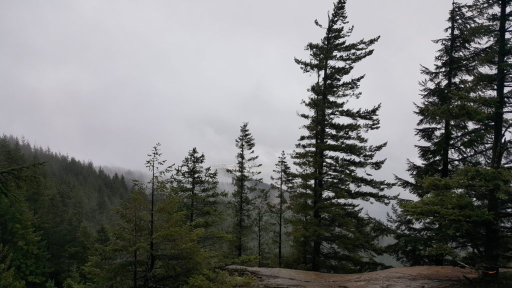 view south from oyster dome