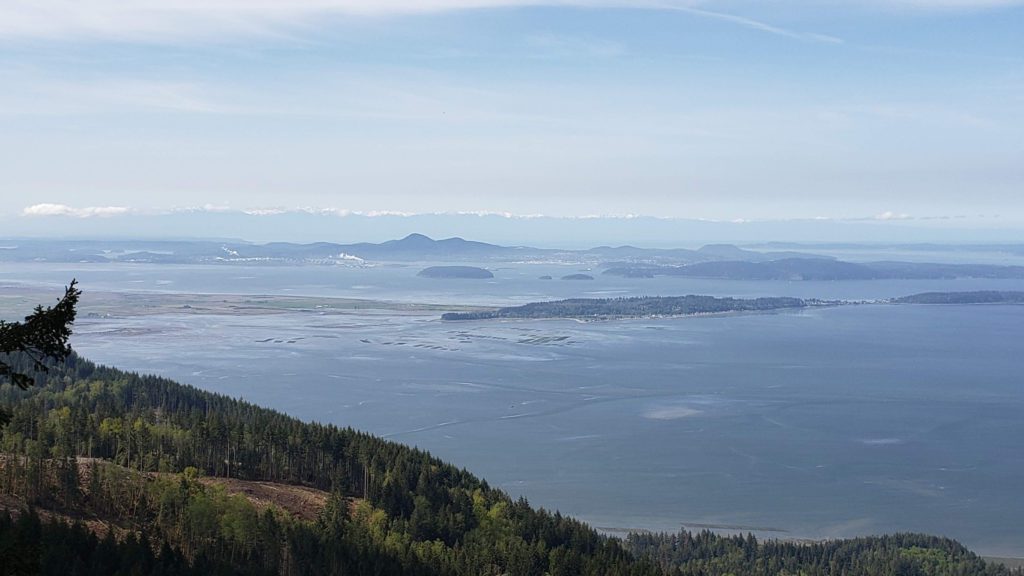 view from the trail terminus