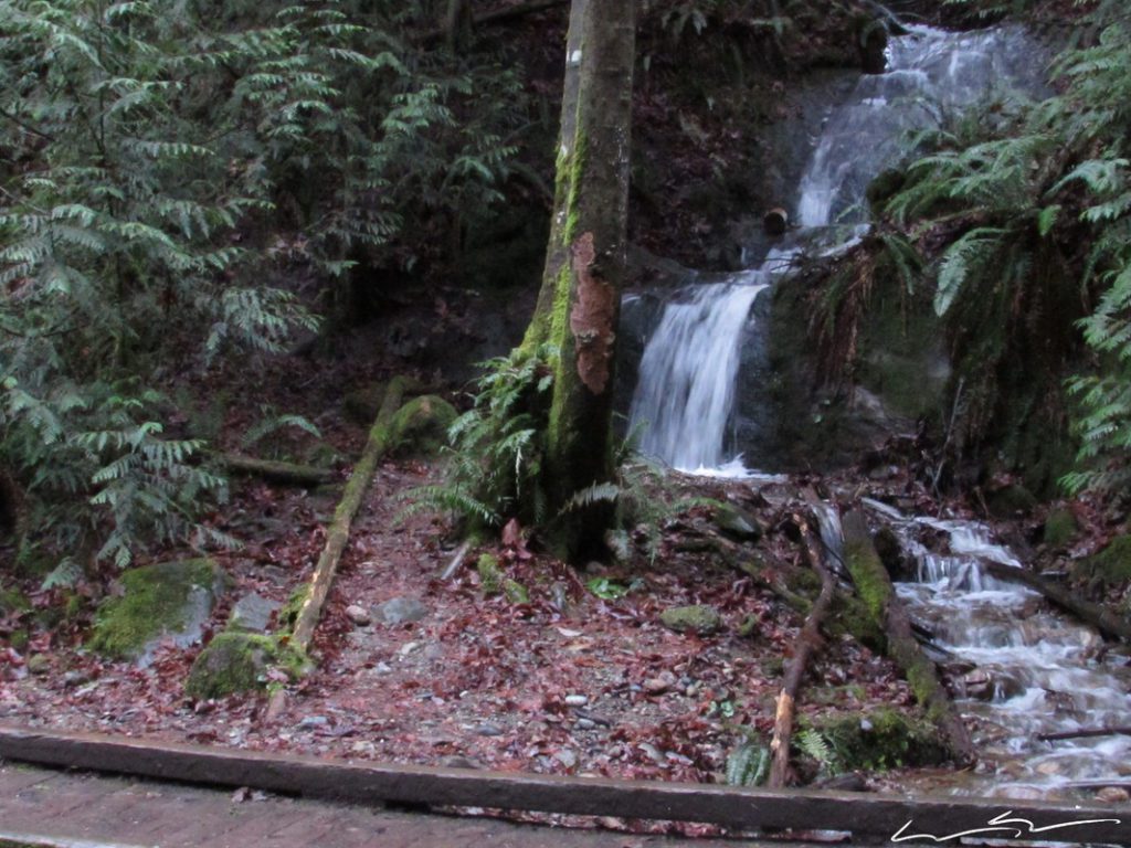 waterfall along the trail to madrone crest
