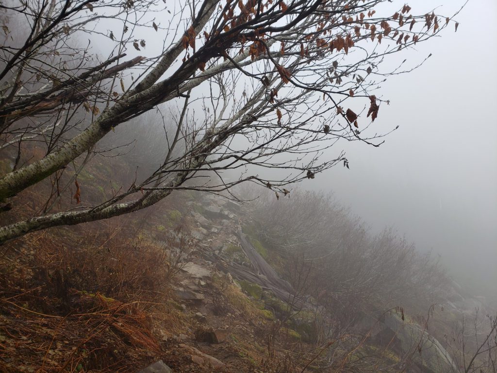 weden creek trail to gothic basin in fog