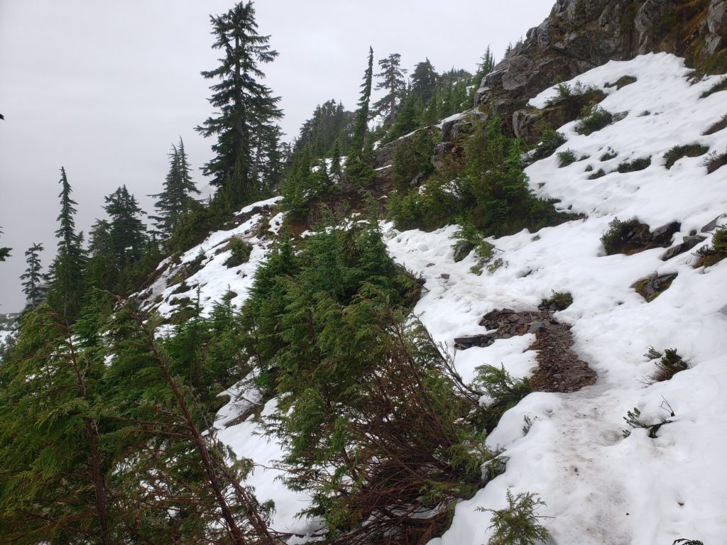weden creek trail covered in snow