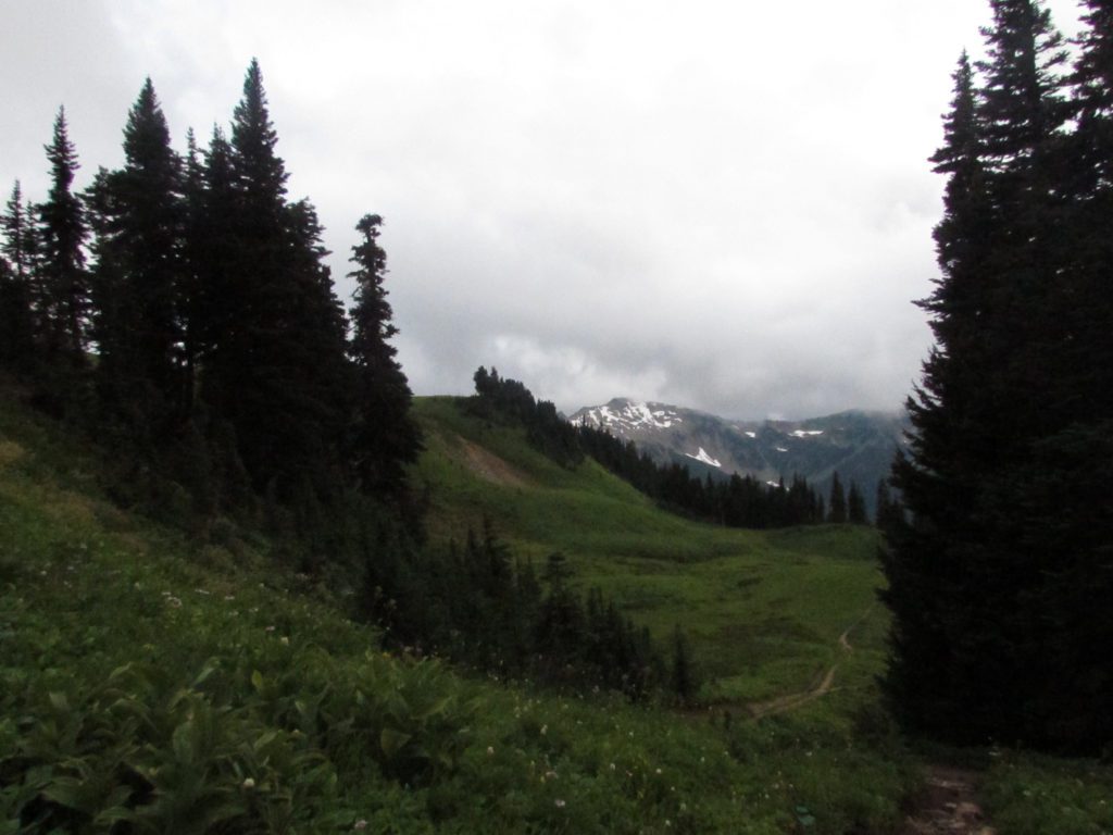 trail down to the white pass camping area