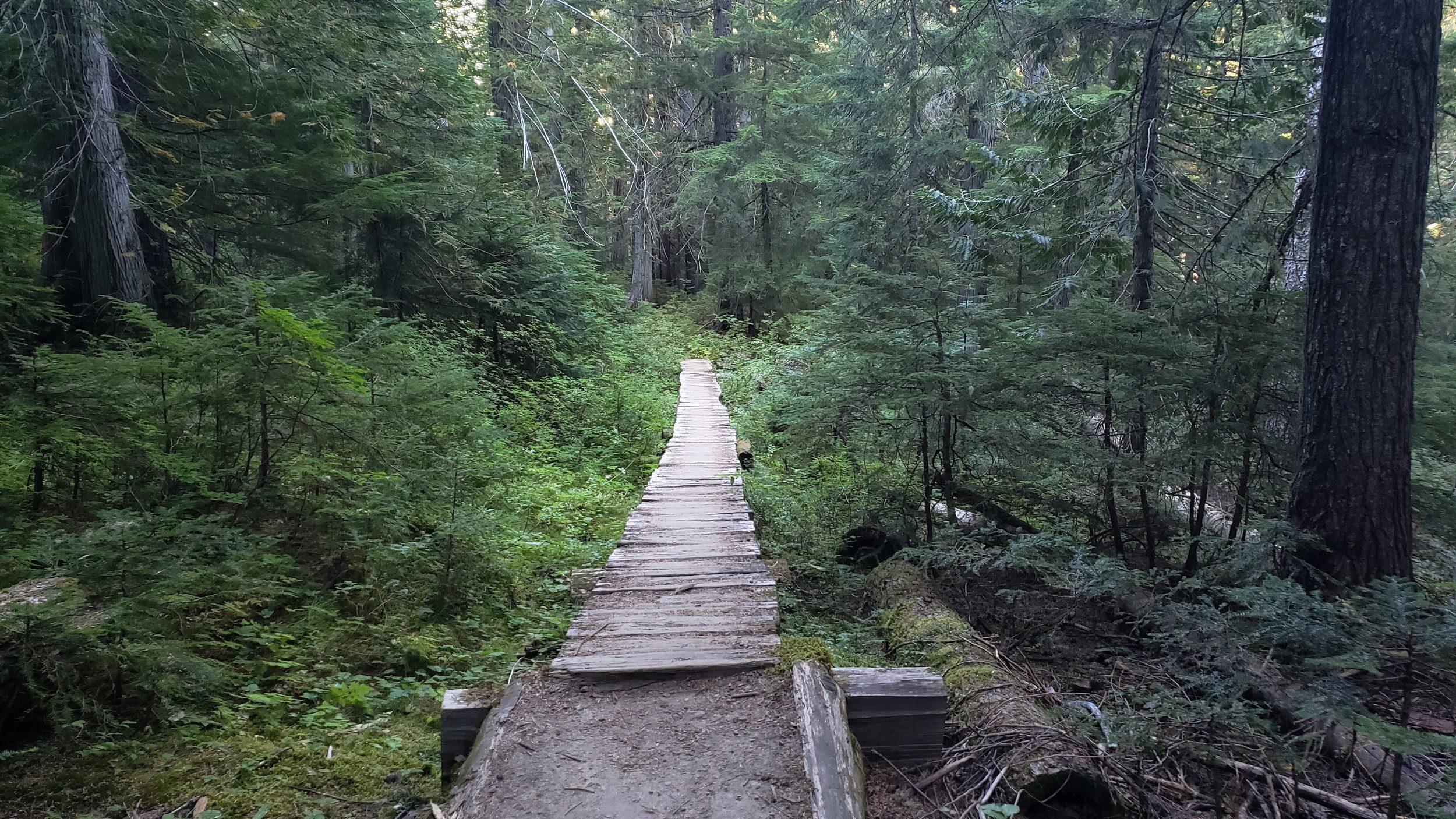 wooden walkways along the easy pass trail